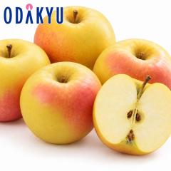 ��� �����S �������� ����̂����₫ 14�ʁ`20�� 5kg |7-12�����x�ł̂��͂��������E����ւ͓͕s��(��)