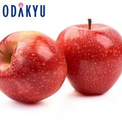 ��� �����S �������� �H�c���Y�H�c�g������ 14�ʁ`20�� 5kg |11����{�ȍ~�̂��͂��������E����ւ͓͕s��(��)