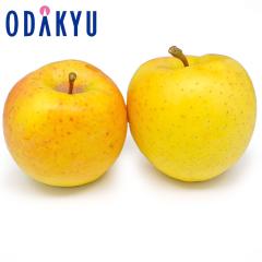 ��� �����S �������� ���̋��� 7�ʁ`10�� 2.5kg |10�����{�ȍ~�̂��͂��������E����ւ͓͕s��(��)