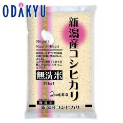 �������� �������� �������� �m �x���X �n �ߘa7�N�Y ������ �V���R�V�q�J��5kg �b7-10�����x�ł̂��͂�������E�����ւ͓͕s��(G)