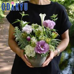 ���� �������� �m flower toujours �n �����A�����W�����gS PaStel �b�����ł����攭��7-10�����x�������s�E�_�ސ쌧�݂̂��͂���(��)