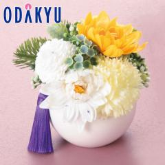 ���~���� ���㕧�� �m ���㕧�d �n �V���{���t�����[�ق̂��z���C�g �b3-10�����x�ł̂��͂�������E�����ւ͓͕s��(B)