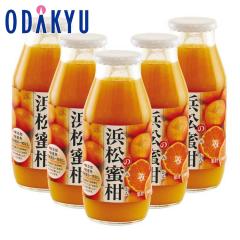 �h�V�̓� �M�t�g 2026 �l���̖����W���[�X 5�{ �b�w����́�����E�����ւ͓͕s�� KD