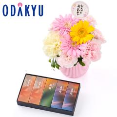 �h�V�̓� �� 2026 ����A & �Ƃ��H�p�b�P�[�W ���`�r� 5�{�� �Z�b�g �b9/18-21�̂������ɏ������͂�(KD)