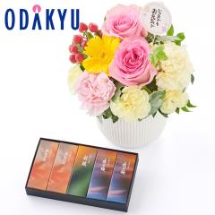�h�V�̓� �� 2026 ����B & �Ƃ��H�p�b�P�[�W ���`�r� 5�{�� �Z�b�g �b9/18-21�̂������ɏ������͂�(KD)