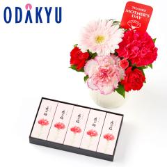 ��̓� �� 2026 ����A & �Ƃ���̓��p�b�P�[�W ���`�r� 5�{�� �Z�b�g �b5/7-10�̂������ɏ������͂�������E�����ւ͓͕s��(MD)