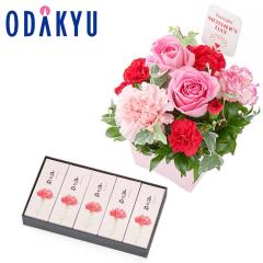 ��̓� �� 2026 ����B & �Ƃ���̓��p�b�P�[�W ���`�r� 5�{�� �Z�b�g �b5/7-10�̂������ɏ������͂�������E�����ւ͓͕s��(MD)