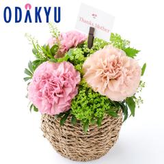 ��̓� �� 2026 ��̓�����A�����W�����g �b5/7-10�̂������ɏ������͂����k�C���E�����E�l���E��B�E����E�����ւ͓͕s��(MD)