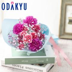 ��̓� �� 2026 �ԑ� �t�����[�\�[�_ �b5/6-10�̂������ɏ������͂�������E�����ւ͓͕s��(MD)