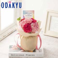 ��̓� �� 2026 ���̂܂܏����u�[�P �X�C�[�g�s���N �b5/6-10�̂������ɏ������͂�������E�����ւ͓͕s��(MD)