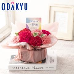 ��̓� �� 2026 �A�����W�����g �T���N�X�}�� �s���N �b5/6-10�̂������ɏ������͂�������E�����ւ͓͕s��(MD)