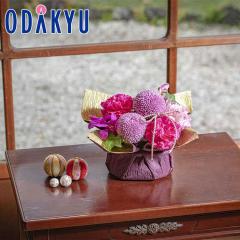 ��̓� �� 2026 �A�����W�����g �ԉ� �b5/6-10�̂������ɏ������͂�������E�����ւ͓͕s��(MD)