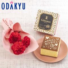 ��̓� �� 2026 �~�j�u�[�P �E �m ���蓰 �n �G������J�X�e�[�� �Z�b�g �b5/6-10�̂������ɏ������͂�������E�����ւ͓͕s��(MD)