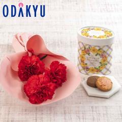 ��̓� �� 2026 �~�j�u�[�P �E �����t�����[�u�[�P �N�b�L�[�A�\�[�g �Z�b�g �b5/6-10�̂������ɏ������͂�������E�����ւ͓͕s��(MD)