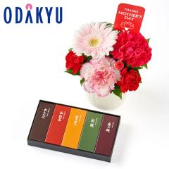 ��̓� �� 2026 ����A & �Ƃ�� ���`�r� 5�{���Z�b�g �b5/7-10�̂������ɏ������͂�������E�����ւ͓͕s��(MD)