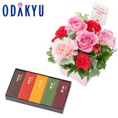 ��̓� �� 2026 ����B & �Ƃ�� ���`�r� 5�{���Z�b�g �b5/7-10�̂������ɏ������͂�������E�����ւ͓͕s��(MD)