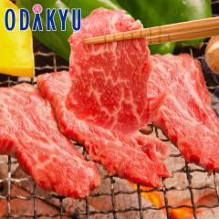 ������ �������� �F�{���Y ���ʋ��ē��p�Ԑg�� �b7-10�����x�ł̂��͂�������E�����ւ͓͕s��(��)