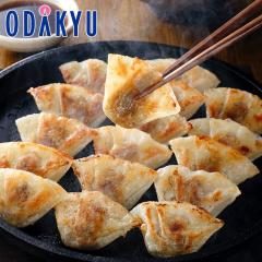 ������ �������� ���ɁE�_�˓싞�� [ �哯�s�ސ� ] ����L�q�Z�b�g �b7-10�����x�ł̂��͂�������E�����ւ͓͕s��(��)