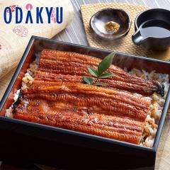 �N�̓� �y�p�N�̓� 2026 �������� �Ⓚ ���m���Y ���Ȃ����� 120g�~3�� �b7-10�����x�ł̂��͂�������E�����ւ͓͕s��(��)