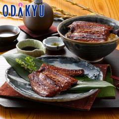 �N�̓� �y�p�N�̓� 2026 �������� �É��Y ���Ȃ� [ �Ð����V ] �������傤���}�� �b7-10�����x�ł̂��͂�������E�����ւ͓͕s��(��)