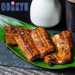 �N�̓� �y�p�N�̓� 2026 �������� ������ [ �F������V ] ��B�Y ���Ȃ����� �n�[�t4�� �b7-10�����x�ł̂��͂�������E�����ւ͓͕s��(