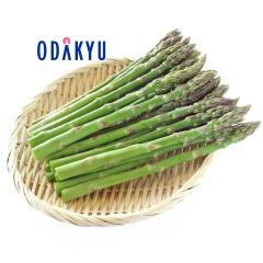 �{ ��� �������� �Y�n�͂��܂��� �A�X�p�� 1kg L�T�C�Y�ȏ� |7-12�����x�ł̂��͂�������E�����ւ͓͕s��(��)