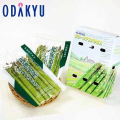 �{ ��� �������� �k�C������ �O���[���A�X�p�� 2L�`L�T�C�Y 500g �~ 2�� |5�����{�ȍ~�̂��͂�������E�����ւ͓͕s��(��)