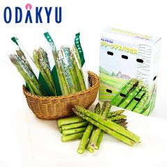 �{ ��� �������� �k�C������ �󂠂�O���[���A�X�p�� 2L�`M 500g �~ 2�� |5�����{�ȍ~�̂��͂�������E�����ւ͓͕s��(��)