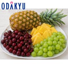 �{ ��� �������� ���Ă̐��E�̃t���[�c�Z�b�g |7-12�����x�ł̂��͂�������E�����ւ͓͕s��(��)