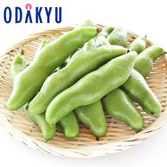 �{ ��� �������� �����{! ���瓤 2kg |7-12�����x�ł̂��͂�������E�����ւ͓͕s��(��)