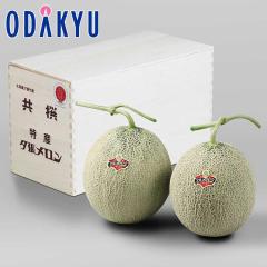 �{ ��� �������� �k�C���Y �[�������� �G�i 5-2�ؔ� 1.4kg  |6�����{�ȍ~�̂��͂�������E�����ւ͓͕s��(��)