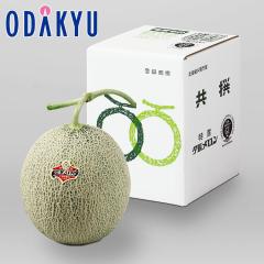 �{ ��� �������� �k�C���Y �[�������� �G�i 6-1 1.2kg |6�����{�ȍ~�̂��͂�������E�����ւ͓͕s��(��)
