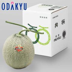 �{ ��� �������� �k�C���Y �[�������� �D�i 6-1 1.2kg |6�����{�ȍ~�̂��͂�������E�����ւ͓͕s��(��)