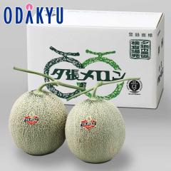 �{ ��� �������� �k�C���Y �[�������� �D�i 6-2 1.2kg |6�����{�ȍ~�̂��͂�������E�����ւ͓͕s��(��)
