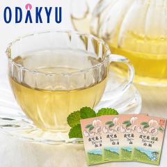 �Y�n���� �������� �m �F������s�ό����Y���� �n �������� �Β� ���� 4�� �b��7-10���́�����E�����͕s��