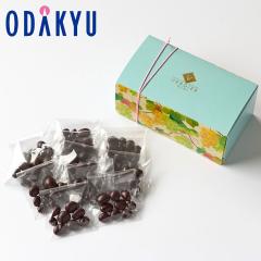 �o�����^�C�� 2026 �m ���]���E���F���f�B�G �n �Ԃǂ��̃`���Rkif-kif �L�t�L�t 12���� �b�w����́�����E�����ւ͓͕s��(VD)