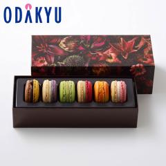 �z���C�g�f�[ 2026 �m �s�G�[���E�G�����E�p�� �n �}�J���� 6�l���킹 �b�w����́�����E�����ւ͓͕s��(WD)