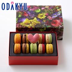 �z���C�g�f�[ 2026 �m �s�G�[���E�G�����E�p�� �n �}�J���� 10�l���킹 �b�w����́�����E�����ւ͓͕s��(WD)