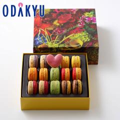 �z���C�g�f�[ 2026 �m �s�G�[���E�G�����E�p�� �n �}�J���� 15�l���킹 �b�w����́�����E�����ւ͓͕s��(WD)