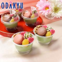 �z���C�g�f�[ 2026 �m ���E�������т̗� �n �������̉F���������َq �b�w����́��k�C���E����E�����ւ͓͕s��(WD)