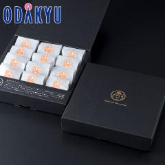 �z���C�g�f�[ 2026 �m �������� �n �����̂���߂�i�b�c 12�� �b�w����́�����E�����ւ͓͕s��(WD)