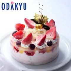 �N���X�}�X�P�[�L �m �V�h���� �n Xmas �J�b�T�[�^�x���[ 4�l�� - 6�l�� �Ⓚ 2026 �b�w���(12/19-23)�́�����E�����ւ͓͕s��(X)