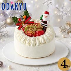�N���X�}�X�P�[�L �m �V�hKojimaya �n �N���X�}�X�P�[�L 䕂Ɩ؂̎��̃V���[�g�P�[�L4�� 8�l�� - 12�l�� �Ⓚ 2026 �b�w���(12/19-25)��