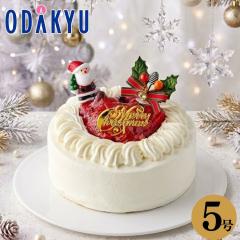 �N���X�}�X�P�[�L �m �V�hKojimaya �n �N���X�}�X�P�[�L 䕂Ɩ؂̎��̃V���[�g�P�[�L5�� 8�l�� - 12�l�� �Ⓚ 2026 �b�w���(12/19-25)��