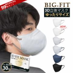 マスク 大きめ 立体型 3Dマスク 立体 メンズ 不織布 マスク バイカラー 大きいサイズ 男性用 個包装 30枚 使い捨てマスク 息しやすい グ