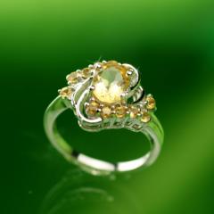 �����O �w�� ���f�B�[�X �A�N�Z�T���[ �V�g���� ���B���e�[�W �v���`�i �d�� ��̓� �v���[���g �a���� ���� �G�� 60�� 40�� 20�� 30�� 5