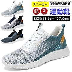 �������� �X�j�[�J�[ �����Y �����j���O�V���[�Y �E�I�[�L���O�V���[�Y �^���C �W���M���O�V���[�Y �J�W���A���V���[�Y �ʋC �ʊw �ʋ� 