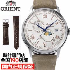 IGg 75NLO 胂f Bambino or[m T&[ RN-AK0808S Y rv @B  kobN vxg