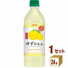 _Ch[hR aʂ 䂸 ybg{g  500ml~24{~1P[X (24{) 