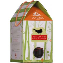 i[A V`A l _[H l_H ԃC C^A C BIB 3L 3000ml~1   Cy񂹕i [J[݌